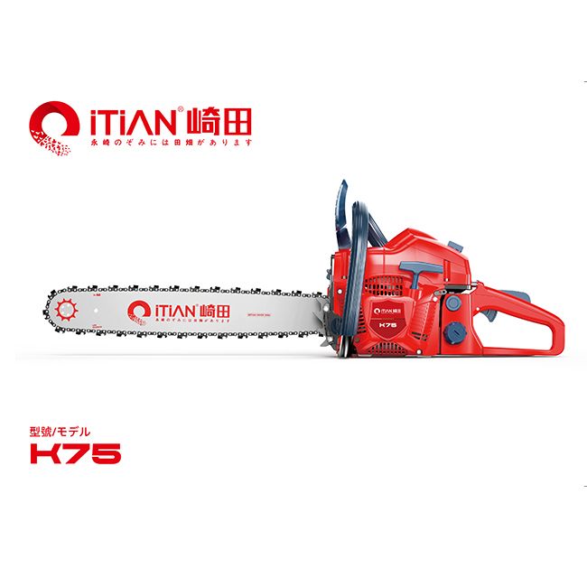 Chain Saw